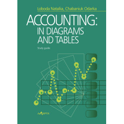 Accounting: in diagrams and...